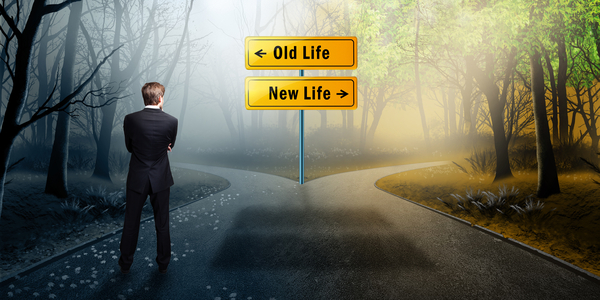 Why Do We Choose to Reincarnate>